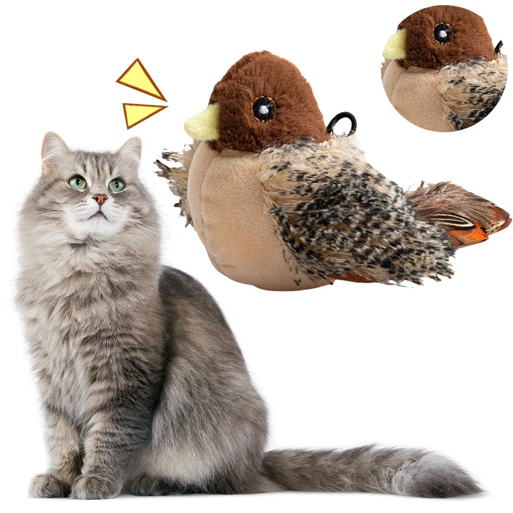 Interactive Cat Toys
