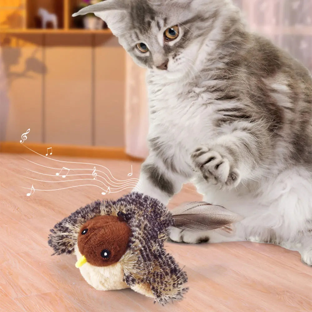 Interactive Cat Toys
