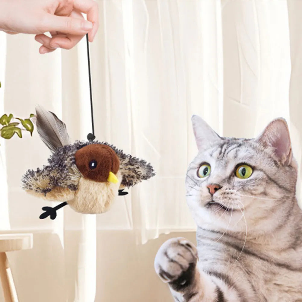Interactive Cat Toys