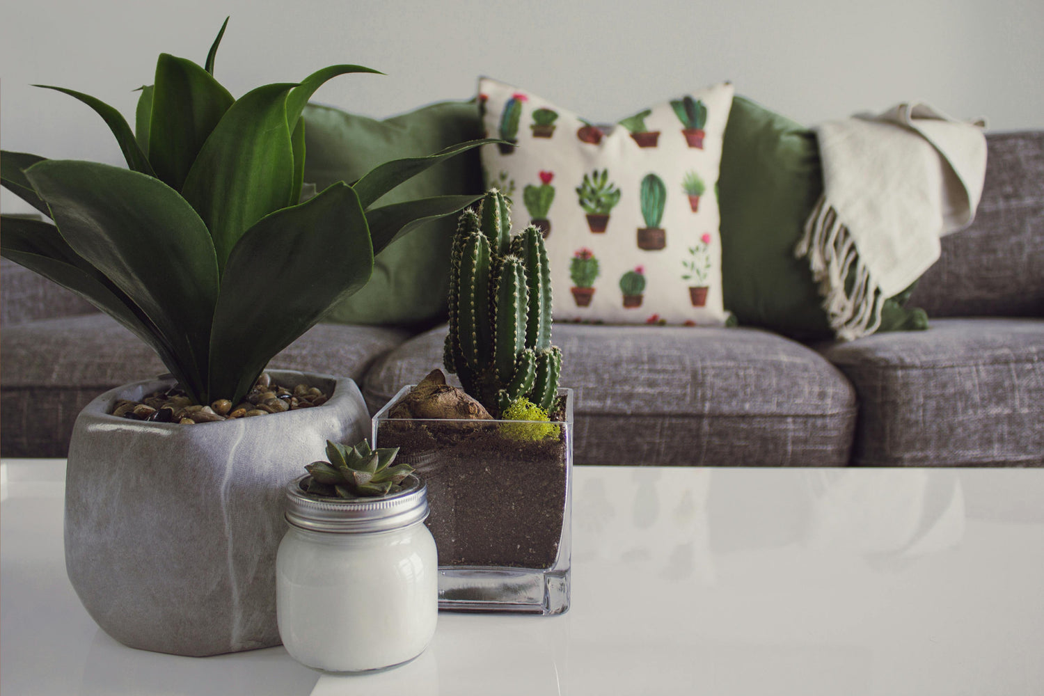Pillows & Decor