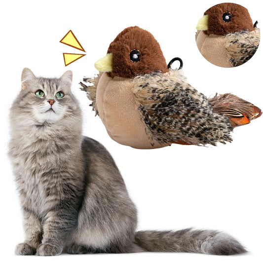 Interactive Cat Toys
