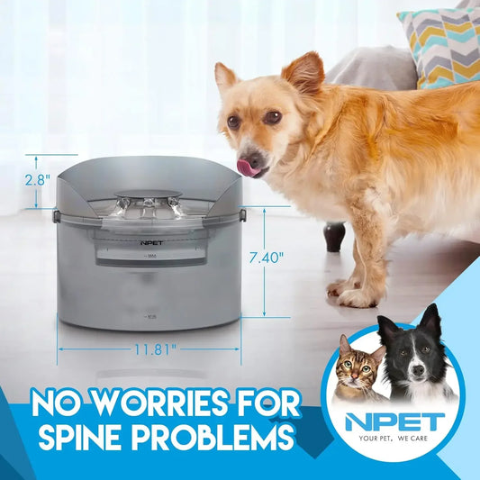 Large Automatic Dog Water Dispenser