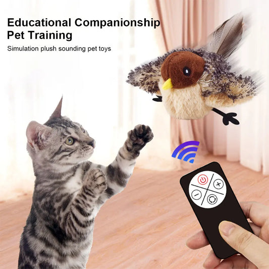Interactive Cat Toys