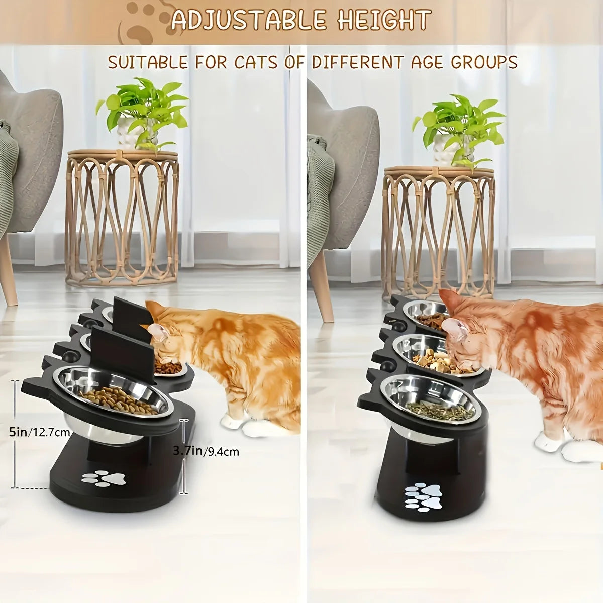 3 Stainless Steel Pet Bowls, Wood Brackets