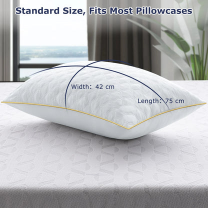 2 Pack Luxury Bed Pillows